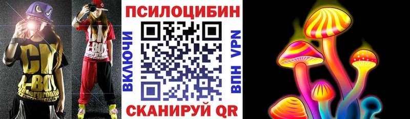 Галлюциногенные грибы Psilocybe  гидра маркетплейс  Багратионовск  дарнет шоп 